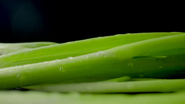 Fresh Green Onion Stalks Water Drops Falling Black Surface Wooden — Stock video