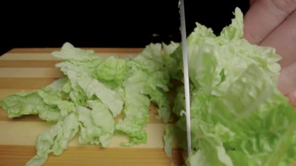 Male Hands Cutting Chinese Cabbage Green Lettuce Leaves Sharp Knife — Vídeo de Stock