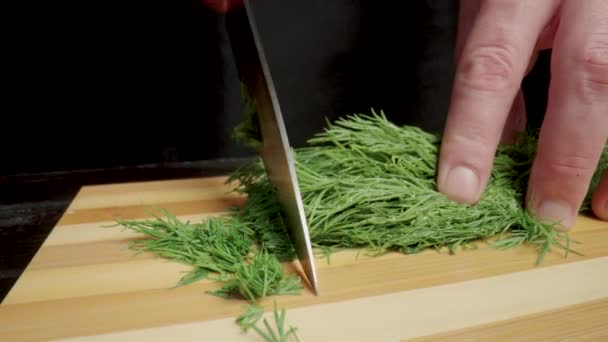 Male Hands Knife Cutting Green Dill Sprigs Restaurant Chef Chopping — ストック動画