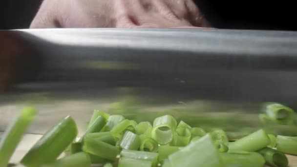 Green Onion Cut Knife Kitchen Black Background Mans Hand Sharp — Stock Video