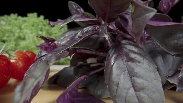 Twigs Purple Basil Red Tomatoes Green Lettuce Water Droplets Black — Stockvideo