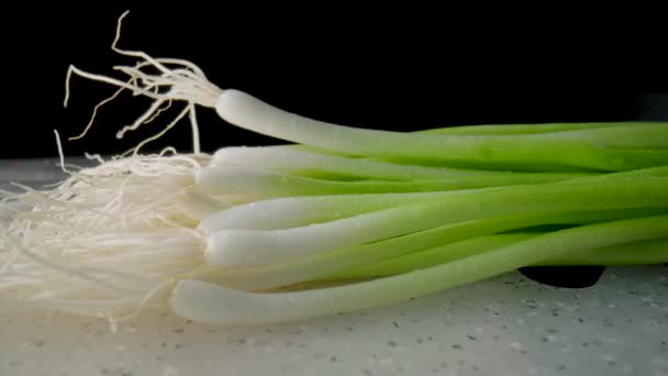 Wet Green Onion Stalks White Heads Roots Gray Plastic Board — Vídeo de stock