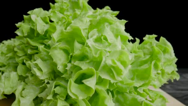 Wet Juicy Green Lettuce Leaves Dark Table Curly Leafy Lettuce — Vídeo de Stock