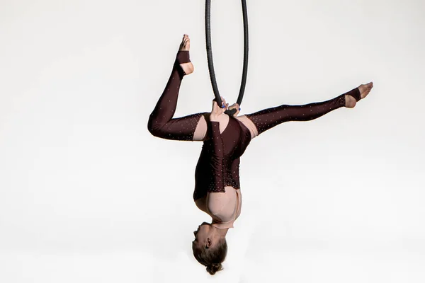 Pretty circus aerialist in brown leotard is spinning upside down on an aerial ring. A young woman performs acrobatic stunts on a white isolated background. Acrobatics, aerial gymnastics. For sports