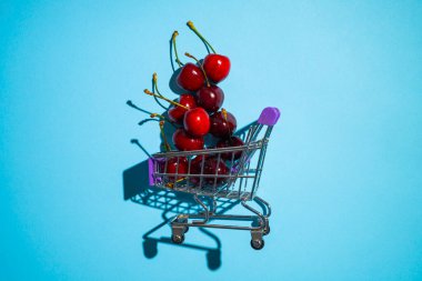 Ripe red sweet cherries in small shopping cart on blue background. Juicy sweet summer berries in a metal trolley. Organic fruits, healthy products. Concept of choosing and buying fruits in supermarket