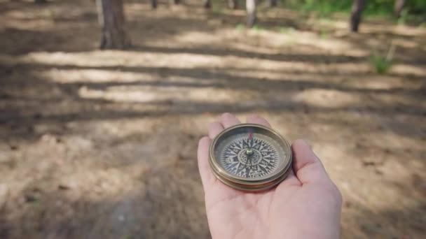 Člověk Drží Rukou Magnetický Kompas Hledá Směr Lese Šipka Míří — Stock video