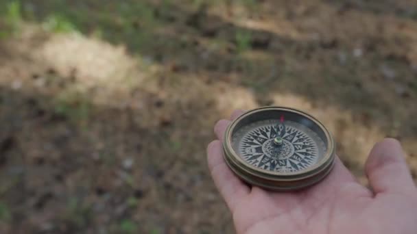 Człowiek Trzyma Rękach Kompas Magnetyczny Szuka Kierunku Lesie Strzałka Wskazuje — Wideo stockowe