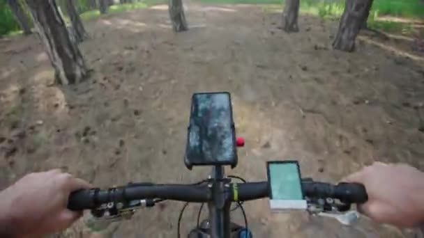 Ciclista Monta Uma Bicicleta Montanha Longo Dos Caminhos Pinhal Dia — Vídeo de Stock