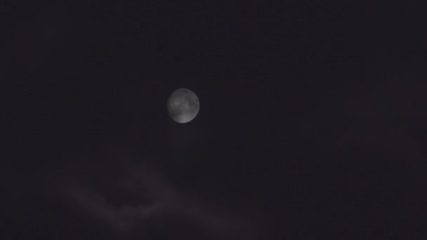 Fuldmåne Mørk Overskyet Nat Skyerne Passerer Forbi Månen Varulve Luna – Stock-video