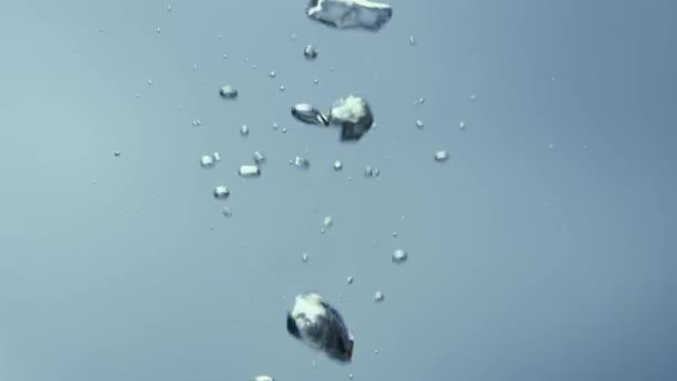 Glänzende Luftblasen Steigen Der Wassersäule Des Stausees Auf Frische Einer — Stockvideo