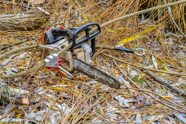 An old portable gasoline-powered hand saw lying on the ground covered with autumn foliage, logs, branches — Stock Photo, Image