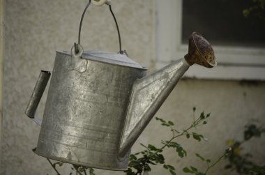 Sulama bitki olabilir