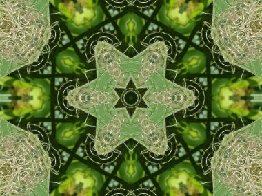 Yeşil mandala yıldız
