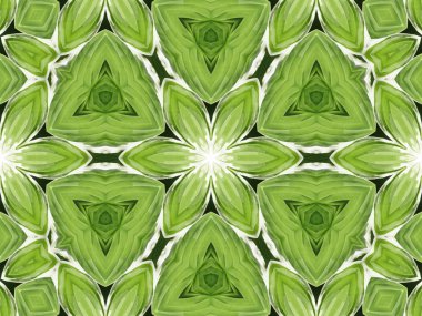 Yeşil mandala çiçek