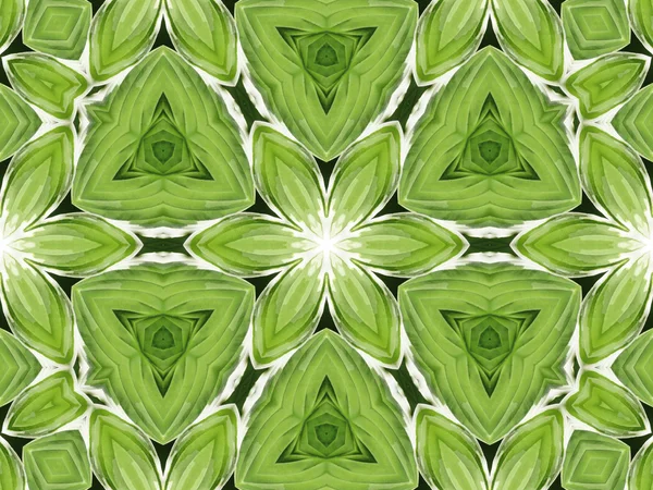 Groene mandala bloem — Stockfoto