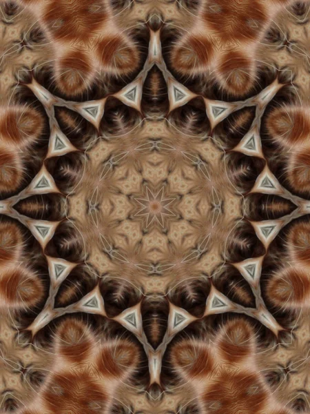 Brauner Mandala-Stern — Stockfoto