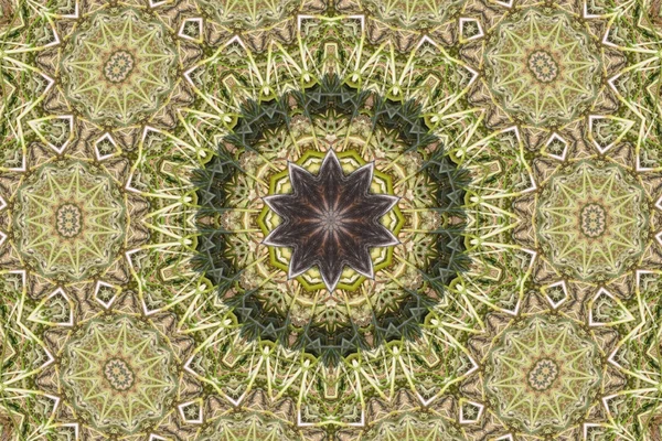 Mandala-Stern — Stockfoto