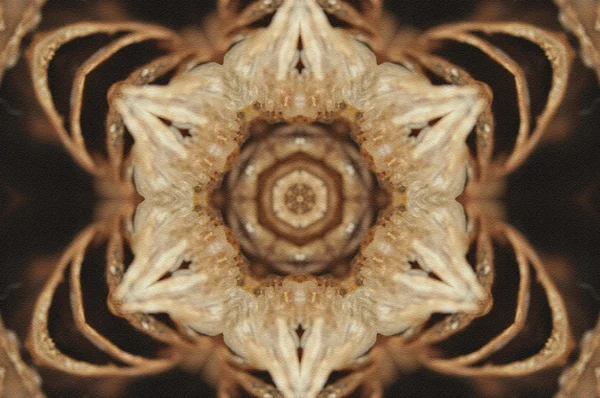 Brauner Mandala-Stern - grob strukturiert — Stockfoto
