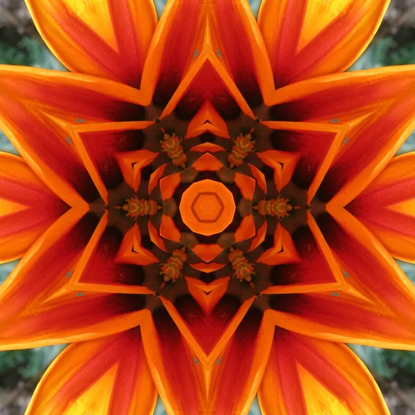 Апельсиновый цветок мандалы — стоковое фото