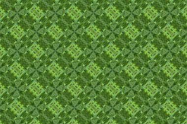 köşegen desen ile yeşil arka plan