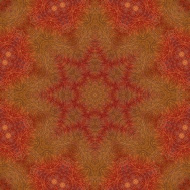 sonbahar mandala yıldız