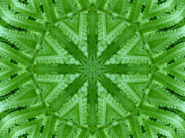 Mandala verde — Foto de Stock