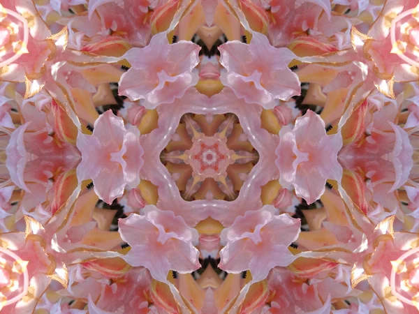 Różowy mandali — Zdjęcie stockowe