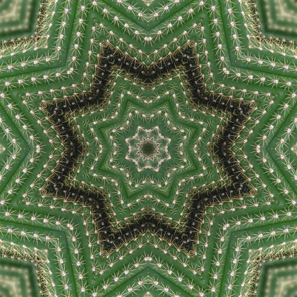 先の尖った緑の星 — ストック写真