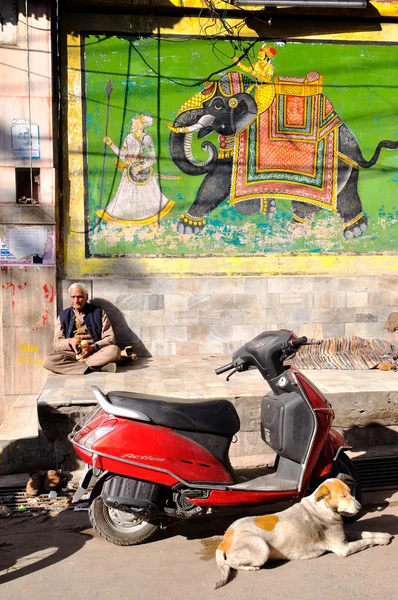 Homem velho com cão — Fotografia de Stock