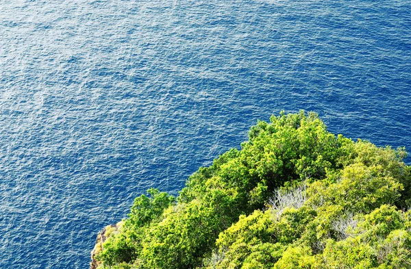 Tree and mountain in seascape — Stock Photo, Image