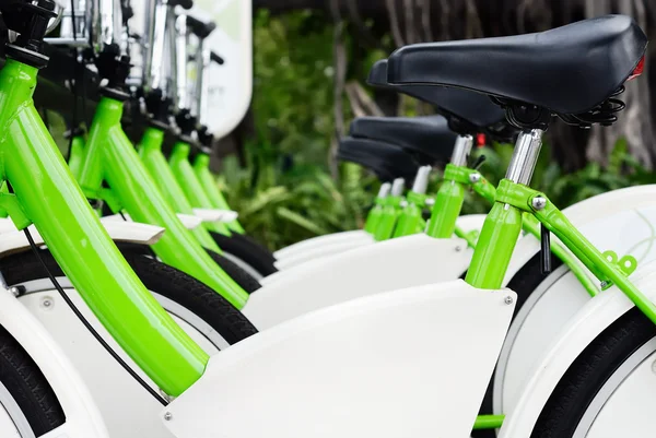 Grüne Fahrräder — Stockfoto