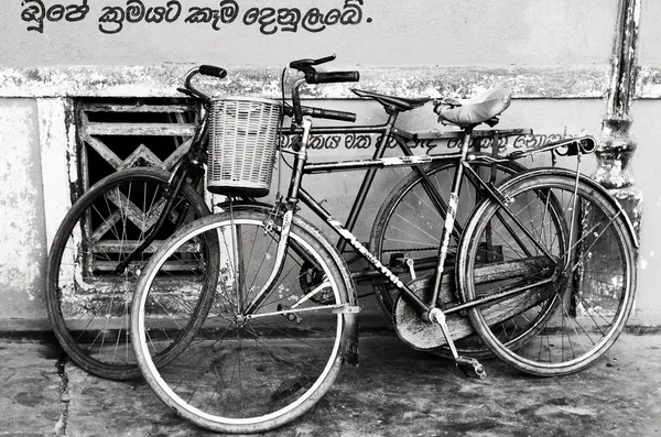 Old bicycle — Stock Photo, Image