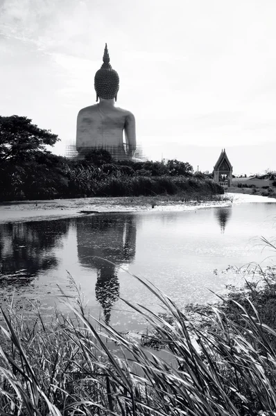 Buddha på risfälten — Stockfoto