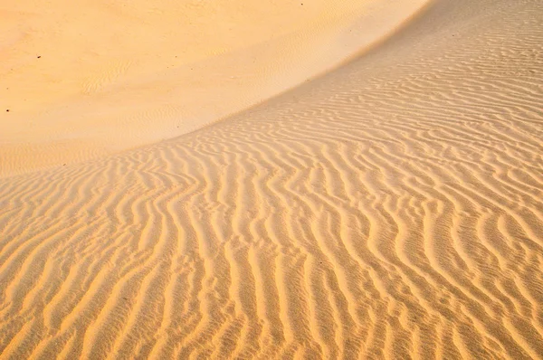 Sanddüne — Stockfoto