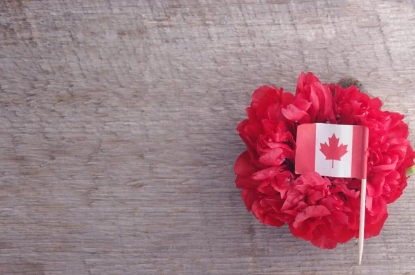Červená Mák Květ Květ Rustikální Dřevěné Pozadí Kopírovacím Prostorem Kanadskou — Stock fotografie