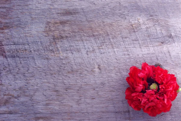 Červená Mák Květ Květ Rustikální Dřevěné Pozadí Kopírovacím Prostorem — Stock fotografie