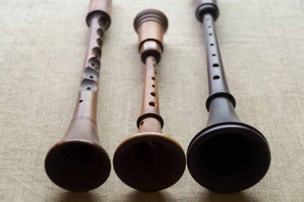 Reconstrucción Antiguos Instrumentos Musicales Viento Madera Zhaleika Dos Schalmeis Situados —  Fotos de Stock