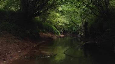 Ormanın ortasındaki nehirde yol alıyoruz.