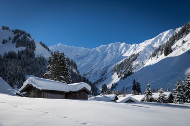 evler ile çatı Avusturya Alpleri'nde kış, kar