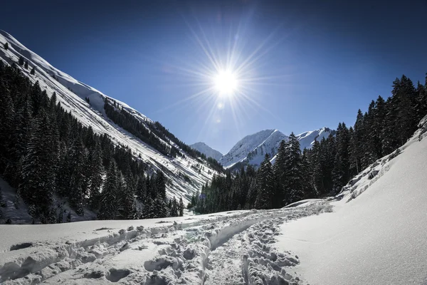 Tracks of skis in winter landscape with sun on blue sky — Stock Photo, Image