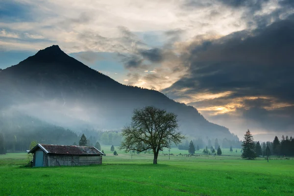 Alte hölzerne Hütte mit Einzelbaum bei dramatischem Tiroler Sonnenuntergang — Stockfoto