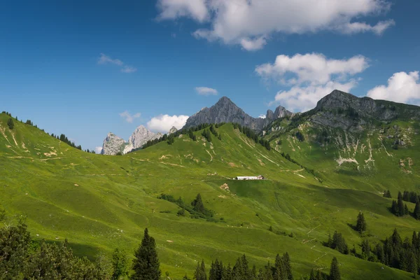 Cabina alpina a bella montagna verde — Foto Stock