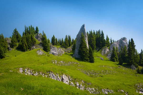 Enorme roca en el verde prado de montaña — Foto de Stock