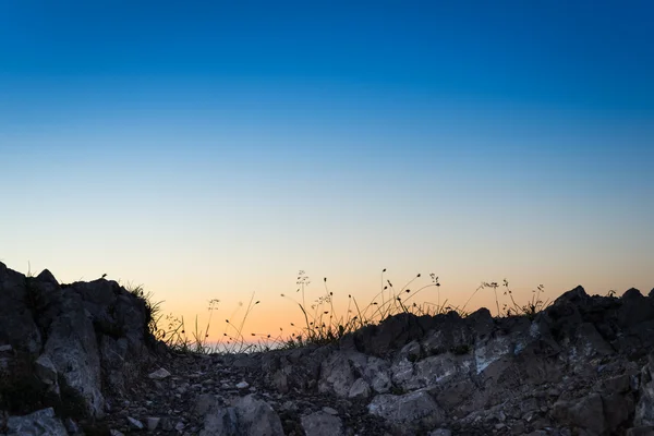 Rocce retroilluminate con erba in montagna — Foto Stock