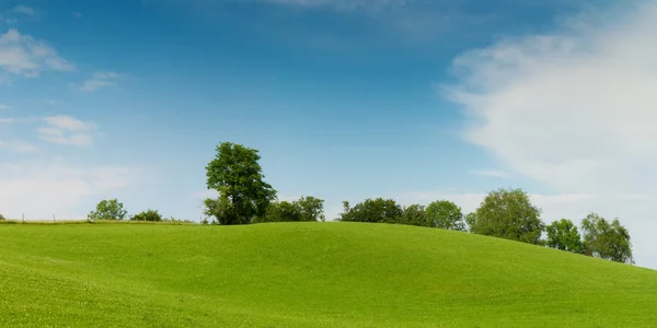 绿色的草地上小山与软蓝蓝的天空上的树 — 图库照片