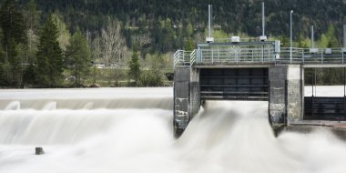 watergate ile arka plan ağaç ve akan su ile eski weir bitki