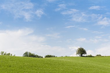 mavi yeşil çayır, güzel yaz günü bulutlu gökyüzü ve bazı ağaçlar horizont