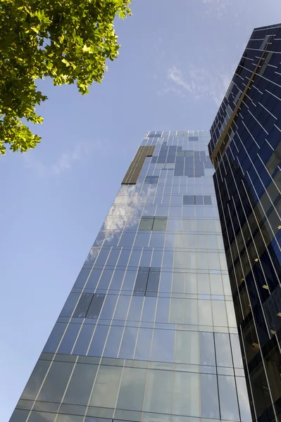 Vue en angle bas de la façade extérieure d'un gratte-ciel moderne à parois de verre regardant vers le ciel bleu au-delà des feuilles vertes d'un arbre — Photo