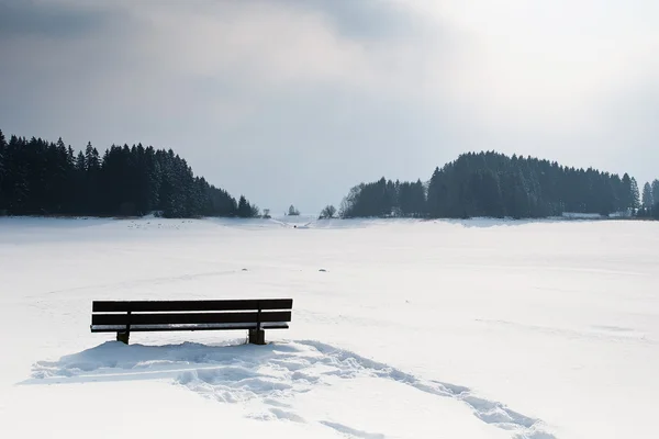 Spuren im Schnee zu einer einsamen Bank mit einem schneebedeckten See und Wald im Hintergrund — Stockfoto