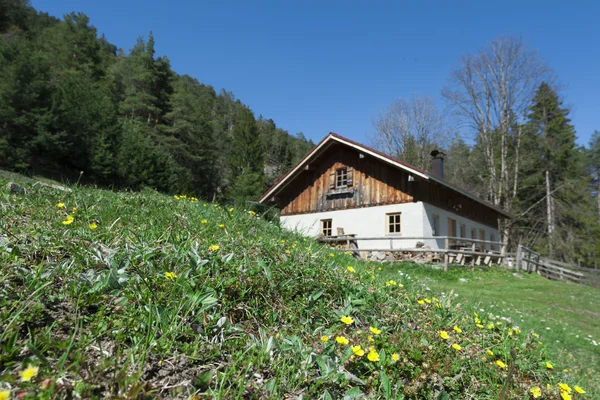 Idyllische Holzhütte mit frischem grünen Gras davor und Blumen — Stockfoto